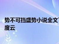 势不可挡盛势小说全文下载 势不可挡盛势小说无删减全文百度云 