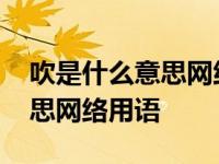 吹是什么意思网络用语怎么说 吹爆是什么意思网络用语 