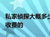 私家侦探大概多少钱?百度吧 私家侦探是怎么收费的 