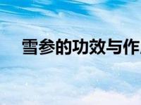 雪参的功效与作用及禁忌及副作用 雪参 