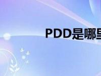 PDD是哪里人 pdd是哪里人 