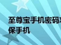 至尊宝手机密码忘了怎么办 至尊宝强制改密保手机 