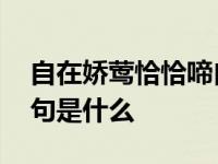 自在娇莺恰恰啼自在 自在娇莺恰恰啼的上一句是什么 