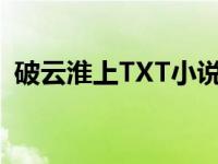 破云淮上TXT小说下载书包网 破云淮上txt 