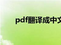 pdf翻译成中文手机 pdf翻译成中文 