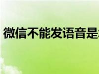 微信不能发语音是怎么回事 微信不能发语音 