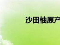 沙田柚原产地在哪里? 沙田柚 