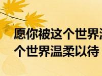 愿你被这个世界温柔以待是什么歌 愿你被这个世界温柔以待 