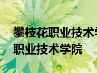 攀枝花职业技术学院是民办还是公办 攀枝花职业技术学院 