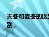 天冬和麦冬的区别中药鉴定 天冬和麦冬的区别 