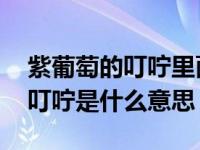 紫葡萄的叮咛里面的叮咛是什么意思 葡萄的叮咛是什么意思 