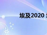 埃及2020 埃及公布29人名单 