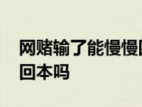 网赌输了能慢慢回本吗图片 网赌输了能慢慢回本吗 