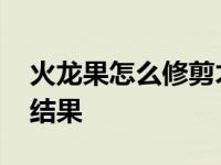 火龙果怎么修剪才结果呢 火龙果怎么修剪才结果 