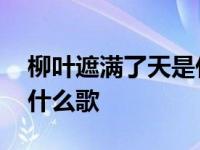 柳叶遮满了天是什么歌曲 柳叶就遮满了天是什么歌 