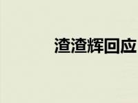 渣渣辉回应 渣渣辉形象被盗用 