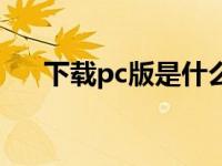 下载pc版是什么意思 pc版是什么意思 