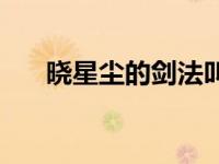 晓星尘的剑法叫什么名字 晓星尘的剑 