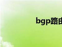 bgp路由协议 bgp双线 