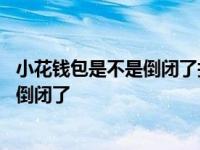 小花钱包是不是倒闭了打客服电话都没人接 小花钱包是不是倒闭了 