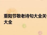 重阳节敬老诗句大全关于敬老爱老的古诗词 重阳节敬老诗句大全 