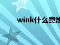 wink什么意思网语 wink什么意思 