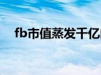 fb市值蒸发千亿的股票 fb市值蒸发千亿 