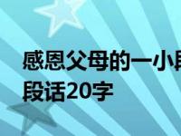 感恩父母的一小段话20字以内 感恩父母的一段话20字 