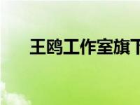 王鸥工作室旗下艺人 王鸥工作室声明 