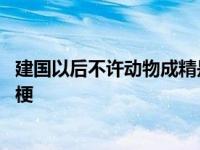 建国以后不许动物成精是怎么回事 建国以后不许成精是什么梗 