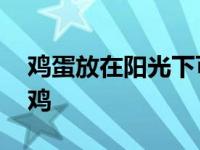 鸡蛋放在阳光下可以孵化么 鸡蛋放阳台孵出鸡 