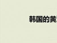 韩国的黄渤 韩延力挺黄渤 