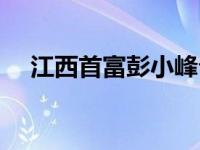 江西首富彭小峰介绍 江西彭小峰被批捕 