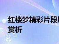 红楼梦精彩片段原文摘抄 红楼梦精彩片段及赏析 