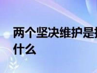 两个坚决维护是指坚决维护 两个坚决维护指什么 