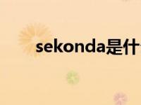 sekonda是什么牌子手表 sekonda 