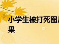 小学生被打死图片 小学生被门砸身亡搜索结果 