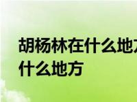 胡杨林在什么地方额济纳在哪个省 胡杨林在什么地方 