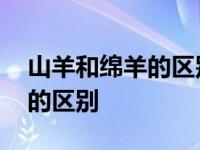 山羊和绵羊的区别怎么给孩子讲 山羊和绵羊的区别 