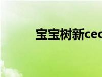 宝宝树新ceo 宝宝树取消发布会 