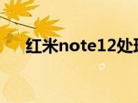 红米note12处理器 红米note4处理器 