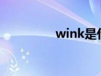 wink是什么软件 WINK 