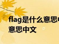 flag是什么意思中文翻译怎么读 flag是什么意思中文 