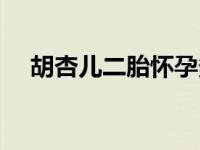 胡杏儿二胎怀孕多大 胡杏儿疑二胎成真 