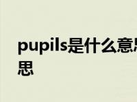 pupils是什么意思英语翻译 pupils是什么意思 