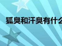 狐臭和汗臭有什么区别 狐臭和汗臭的区别 