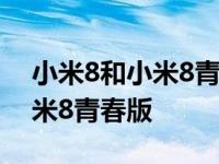 小米8和小米8青春版电池通用吗 小米8和小米8青春版 