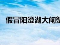 假冒阳澄湖大闸蟹泛滥 假冒阳澄湖大闸蟹 