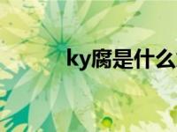 ky腐是什么意思 ky什么意思腐 