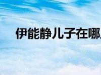 伊能静儿子在哪上大学 伊能静儿子求学 